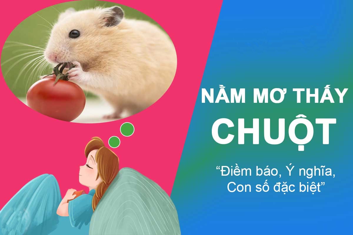 Nằm Mơ Thấy Chuột Là Điềm Gì? Luận Giải Ý Nghĩa Và Con Số May Mắn Từ Go88